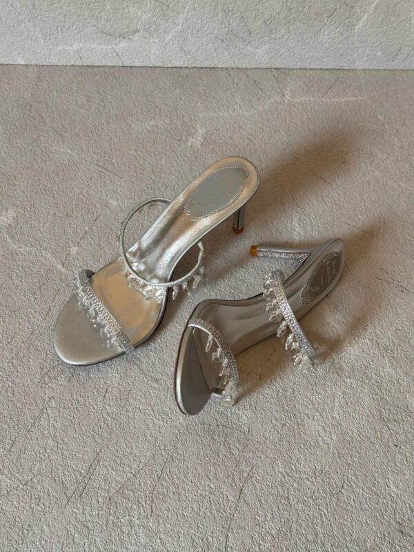 PHOTO-2025-05-23-16-27-06 Rene Caovilla heels