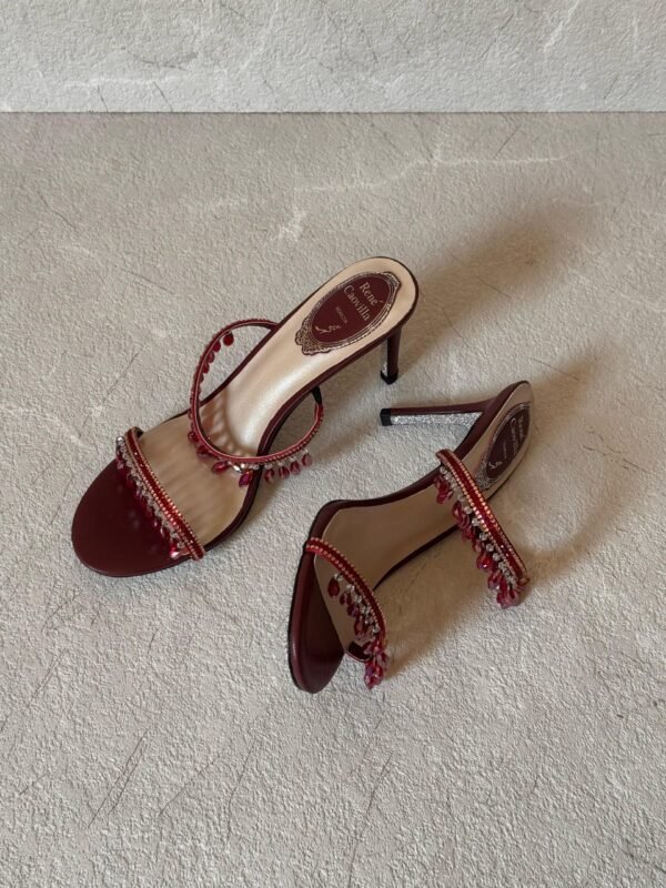 PHOTO-2025-05-23-18-11-31 Rene Caovilla heels