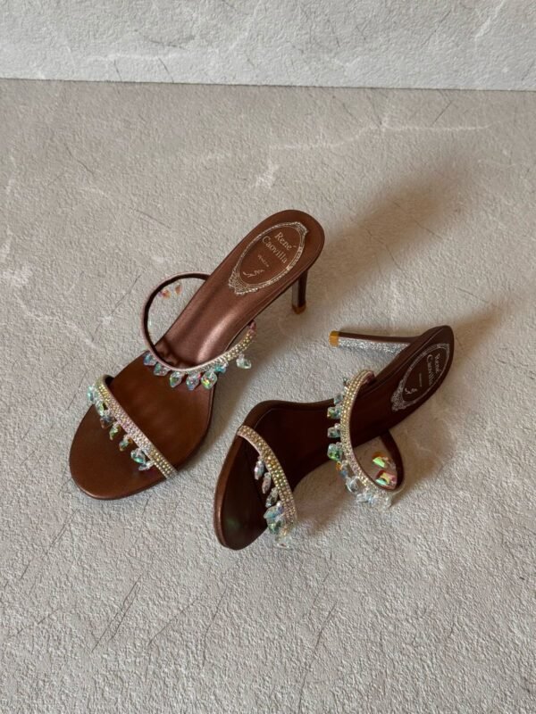 PHOTO-2025-05-23-21-15-51 Rene Caovilla heels