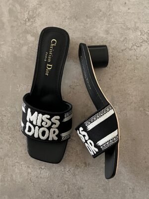 PHOTO-2025-08-10-16-01-09 Dior heels