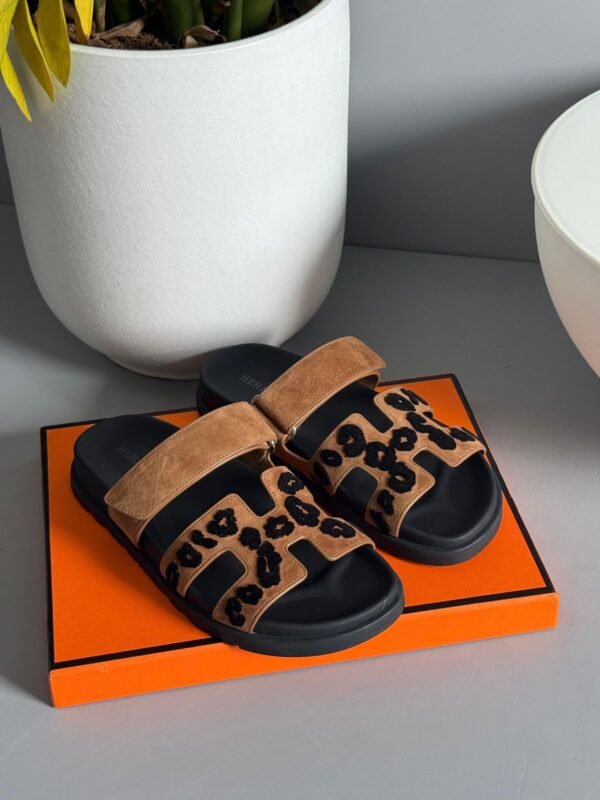 IMG_6984 Hermes Flats